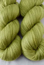 Miss Babs Yowza fiddlehead