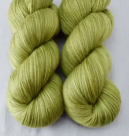 Miss Babs Yowza fiddlehead