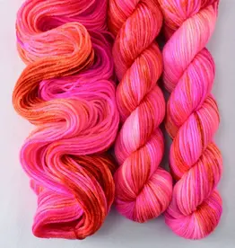 Miss Babs Yowza Mini sunrise swim