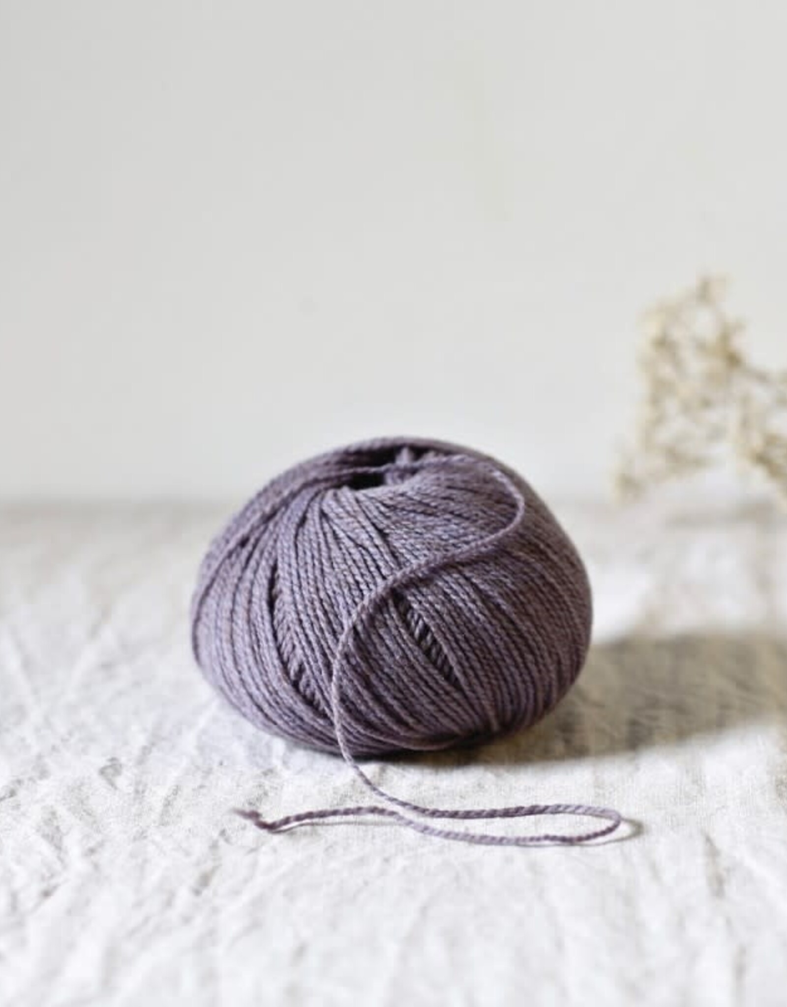 De Rerum Natura Ulysse aster