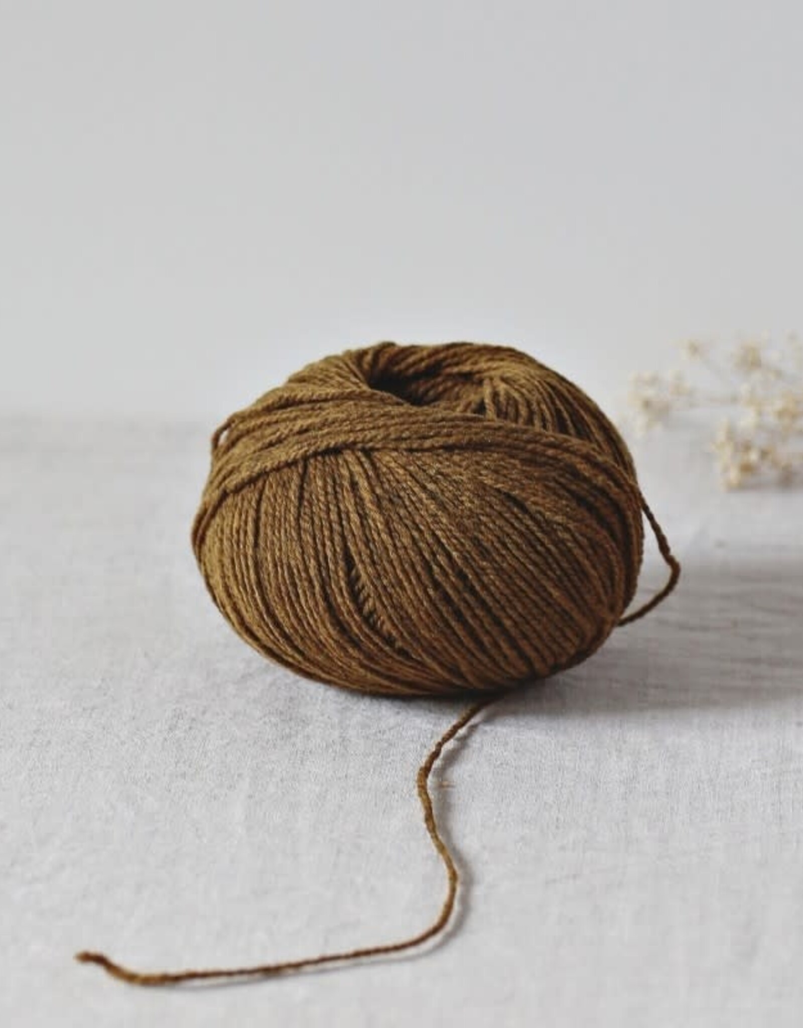 De Rerum Natura Ulysse darjeeling