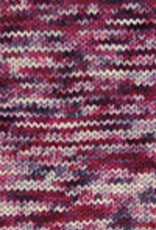 Cascade 220 SW Hand Paints 1011 berry smoke