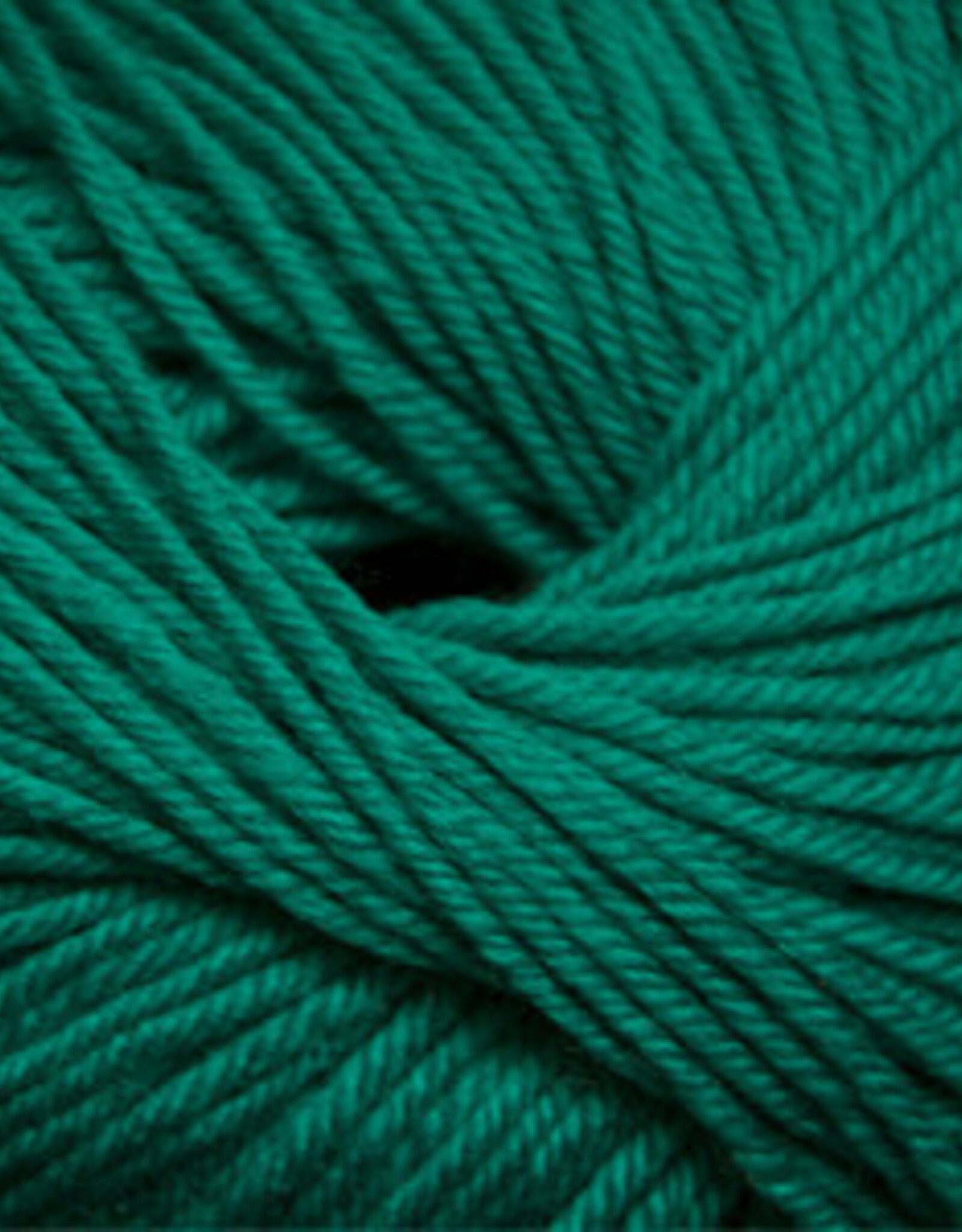 Cascade Cascade 220 Superwash 810 teal