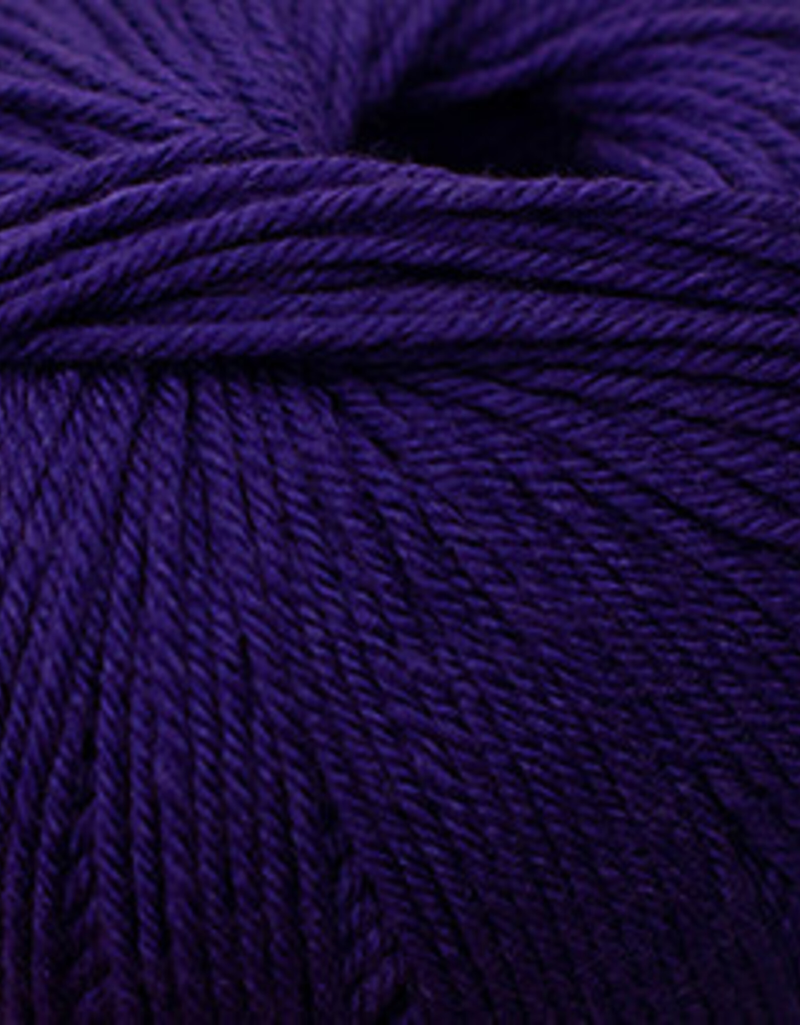 Cascade Cascade 220 Superwash 257 violet indigo
