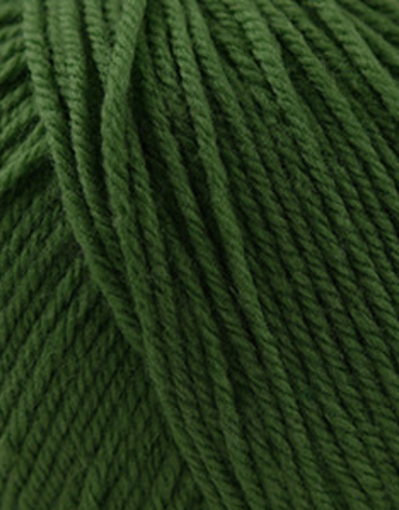 Cascade Cascade 220 Superwash 254 mint green DISC