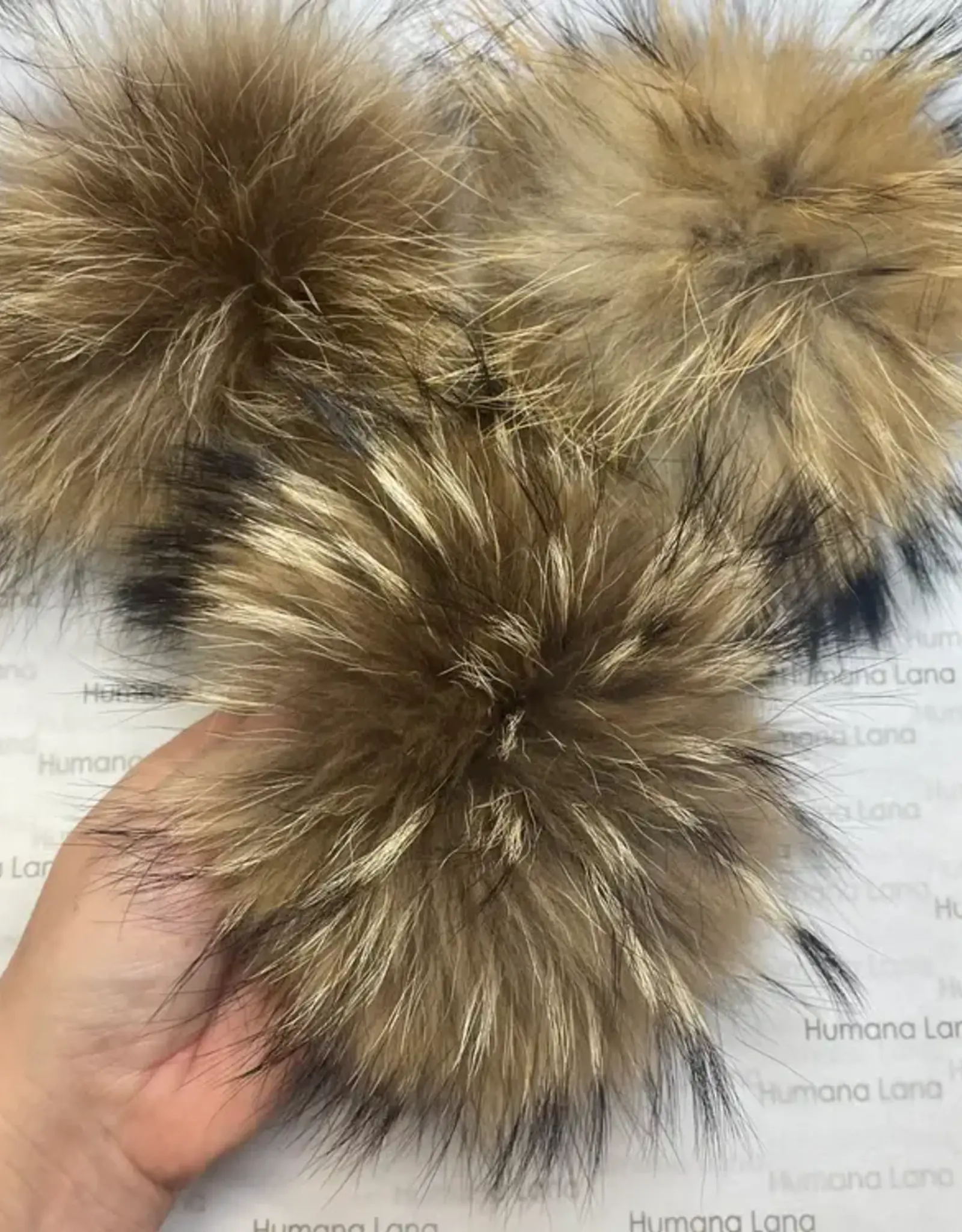 Humana Lana Racoon Fur natural brown 17-18 cm