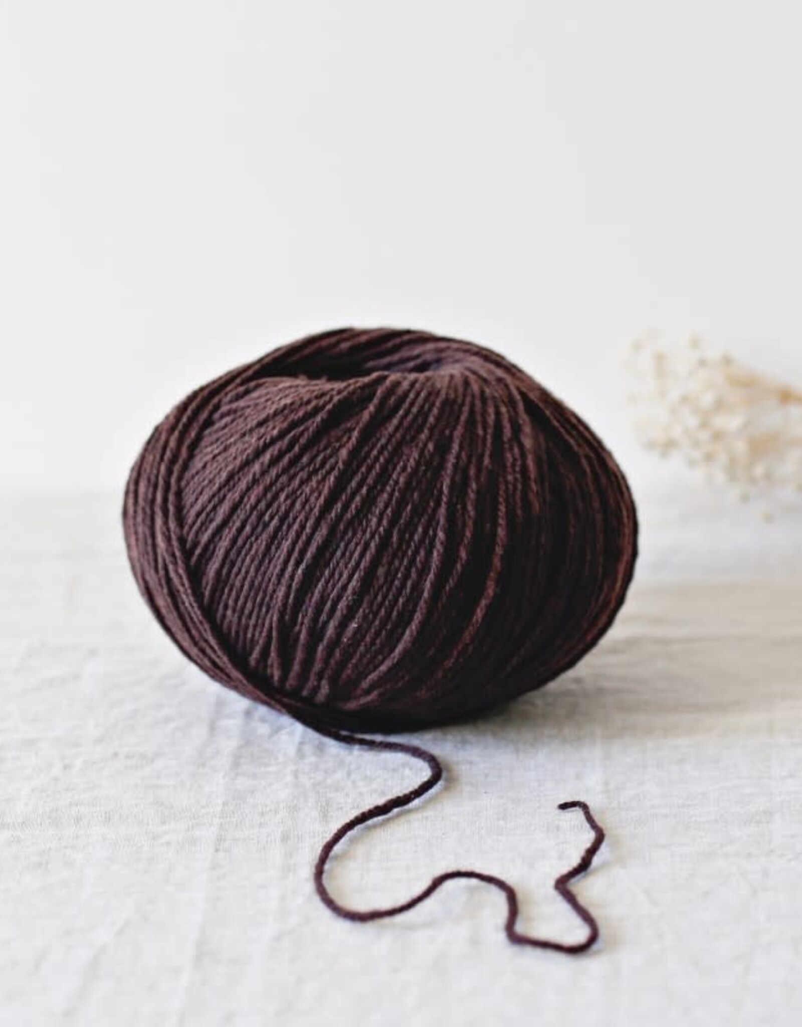 De Rerum Natura Gilliatt cacao