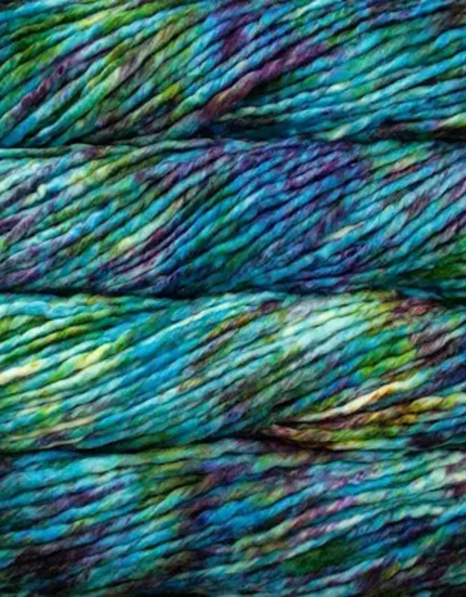 Malabrigo Rasta 197 boomerang