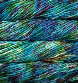 Malabrigo Rasta 197 boomerang
