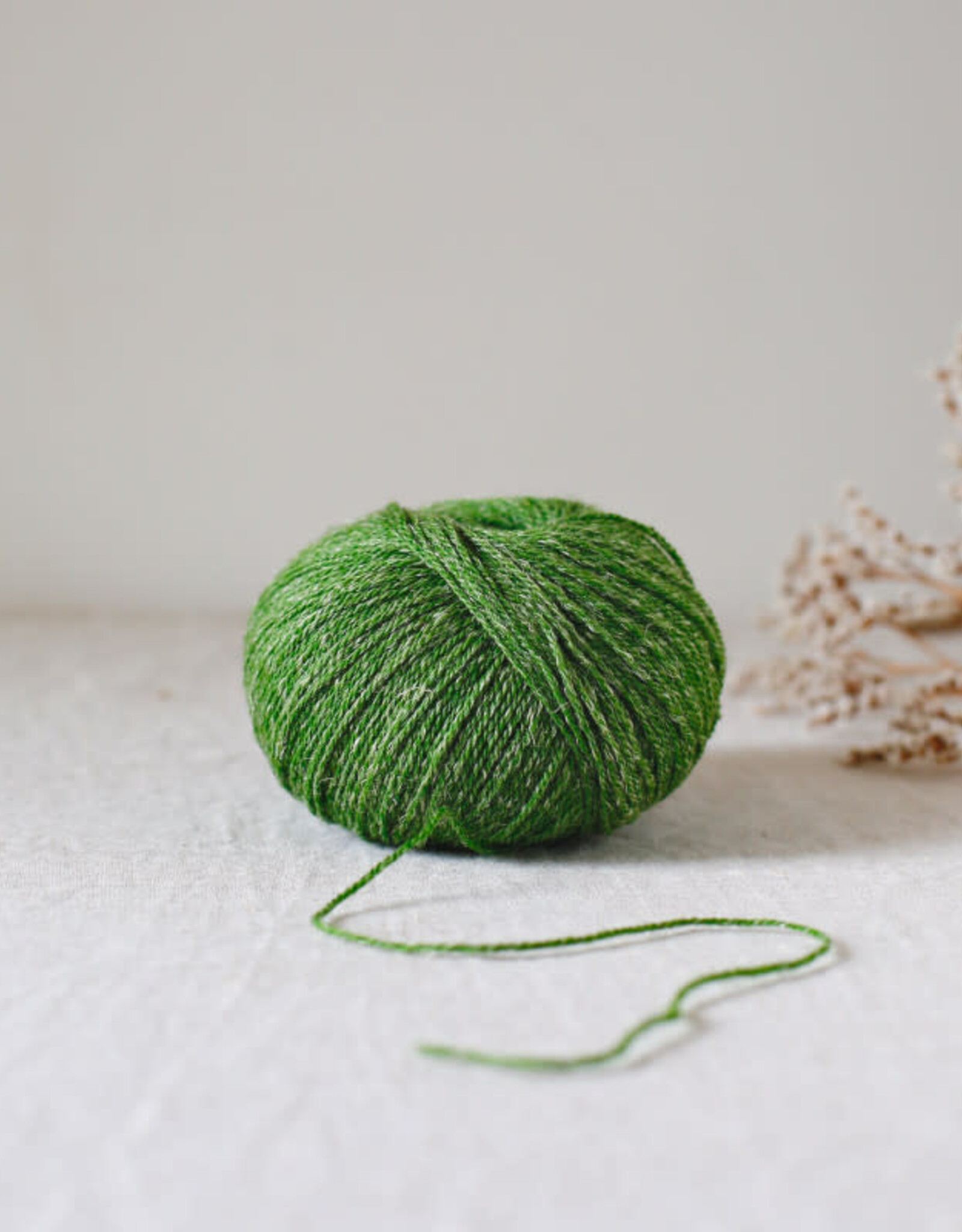 De Rerum Natura Alice fougere