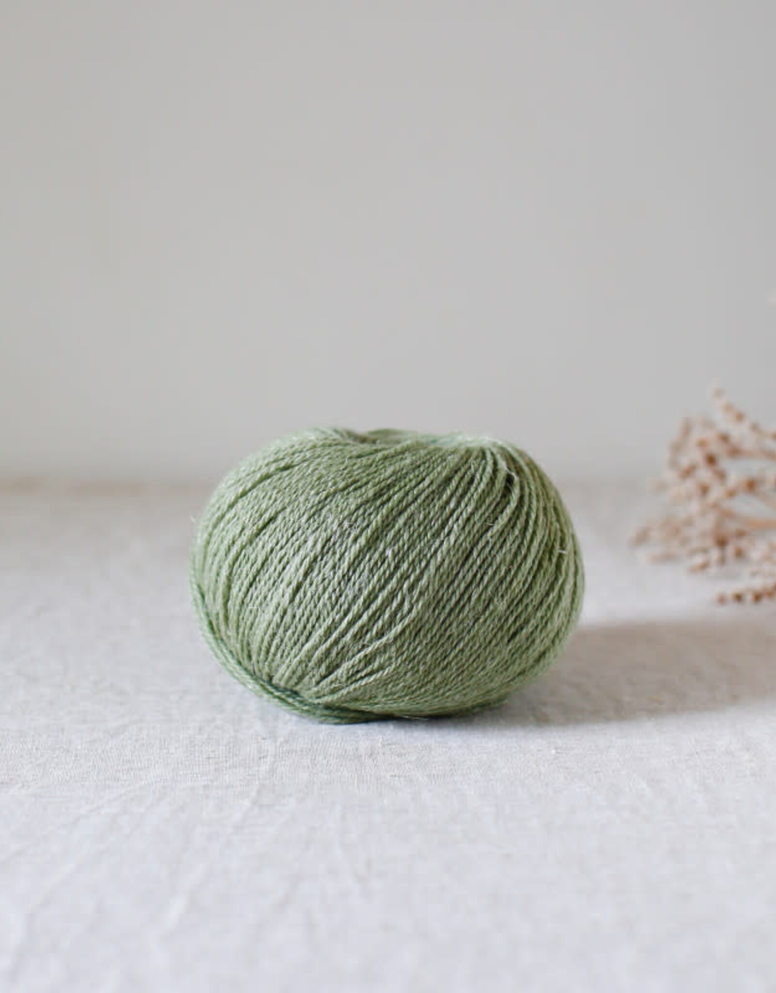 De Rerum Natura Alice thym