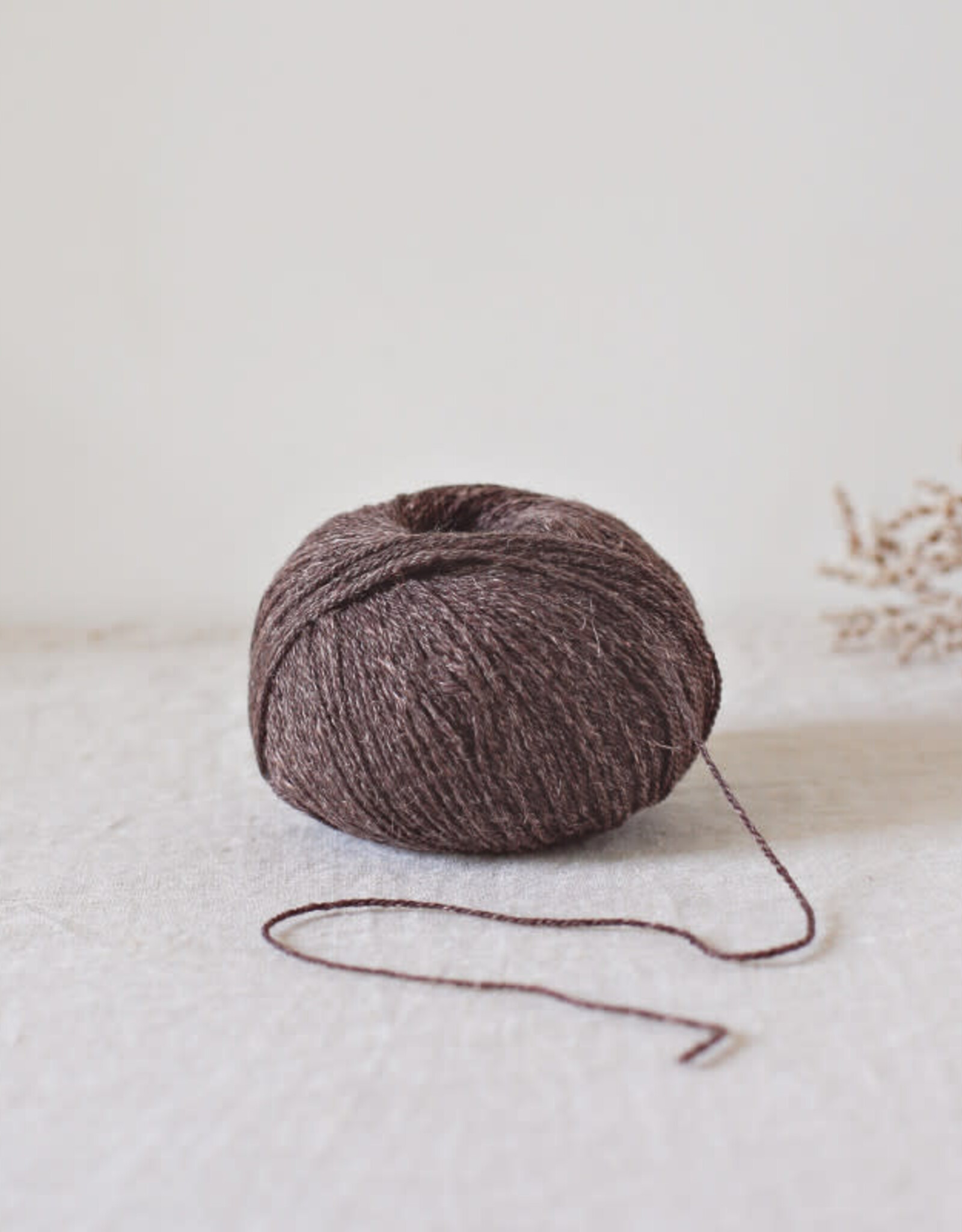 De Rerum Natura Alice ecorce