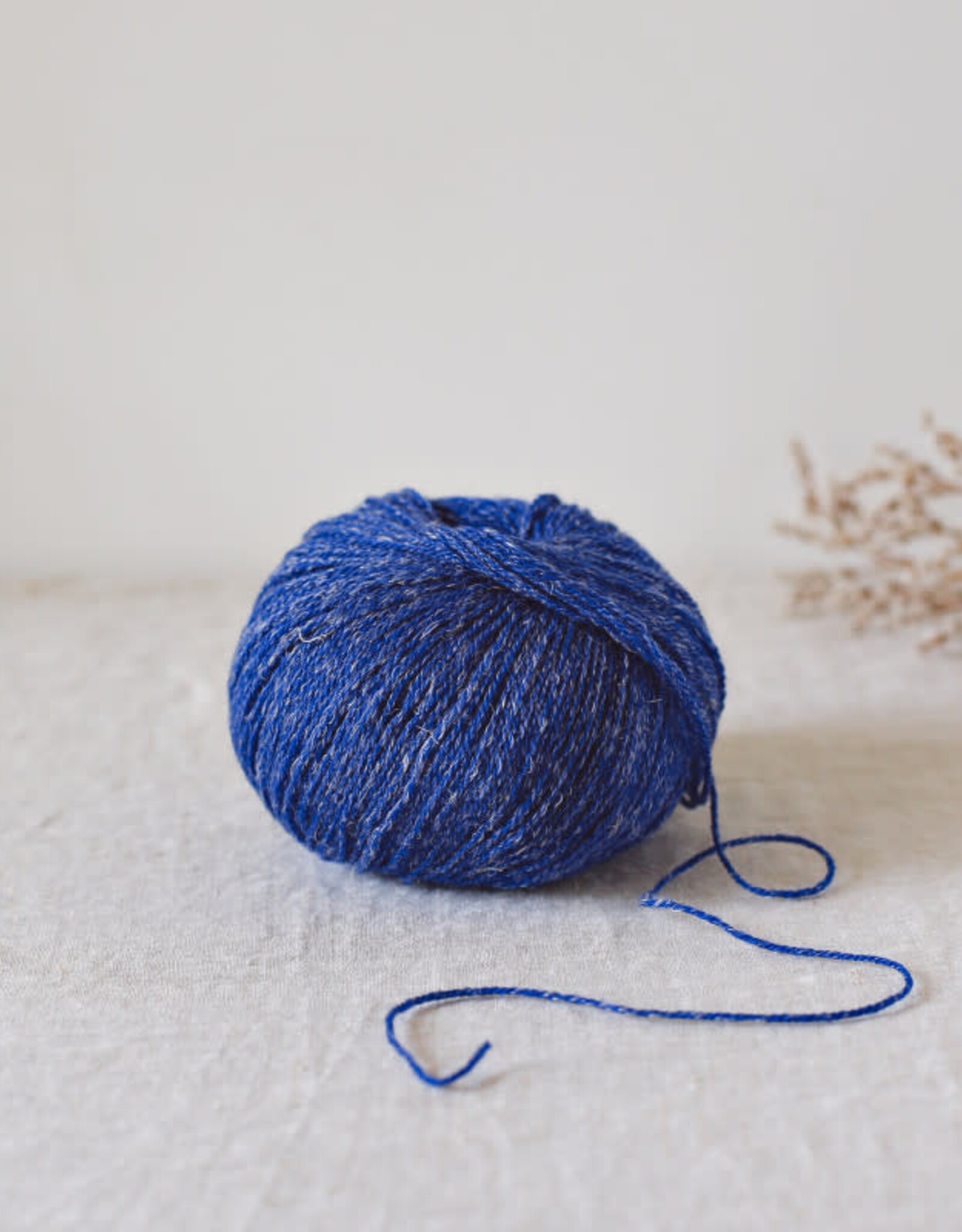 De Rerum Natura Alice gentiane