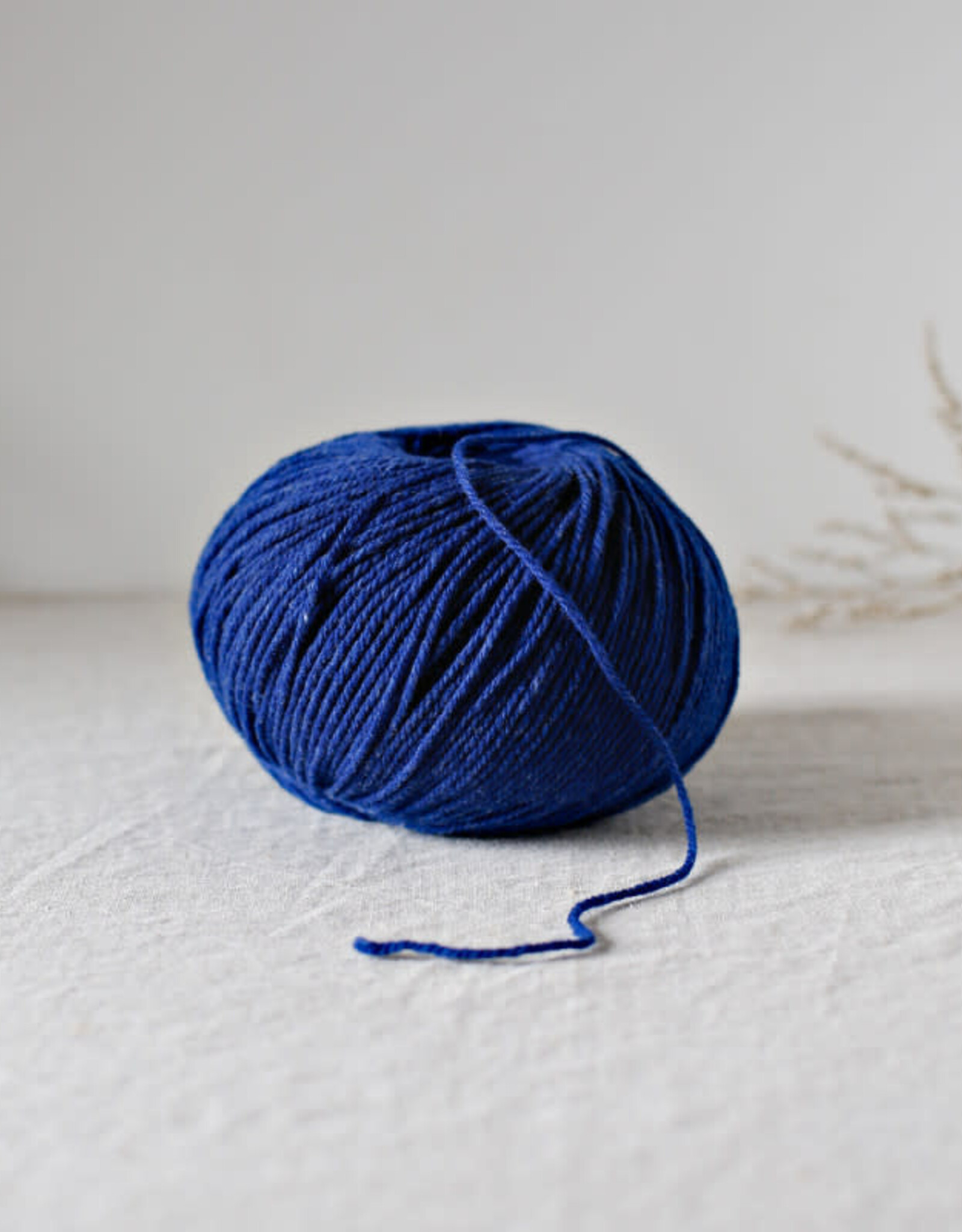 De Rerum Natura Gilliatt delphinium