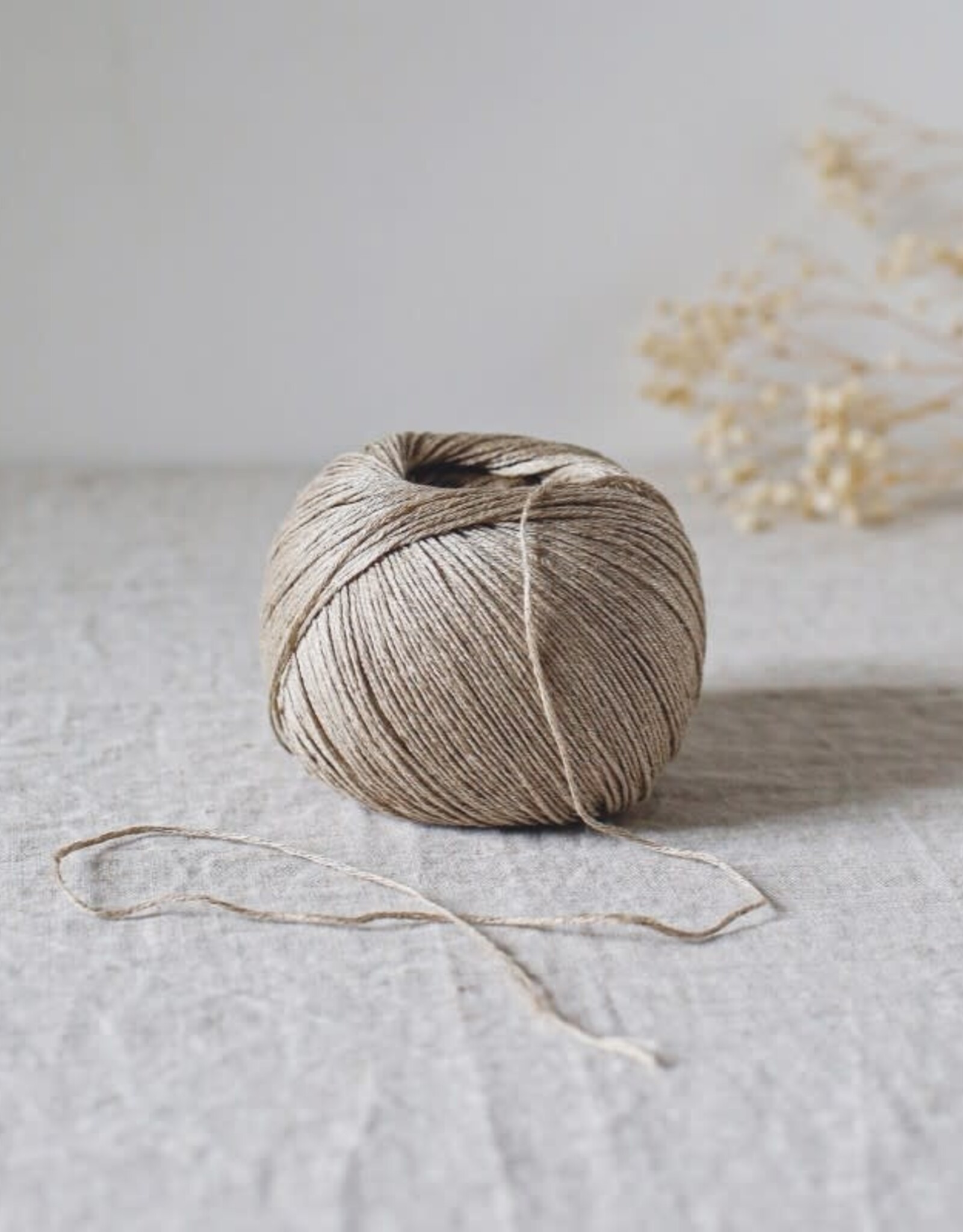 De Rerum Natura Antigone lin