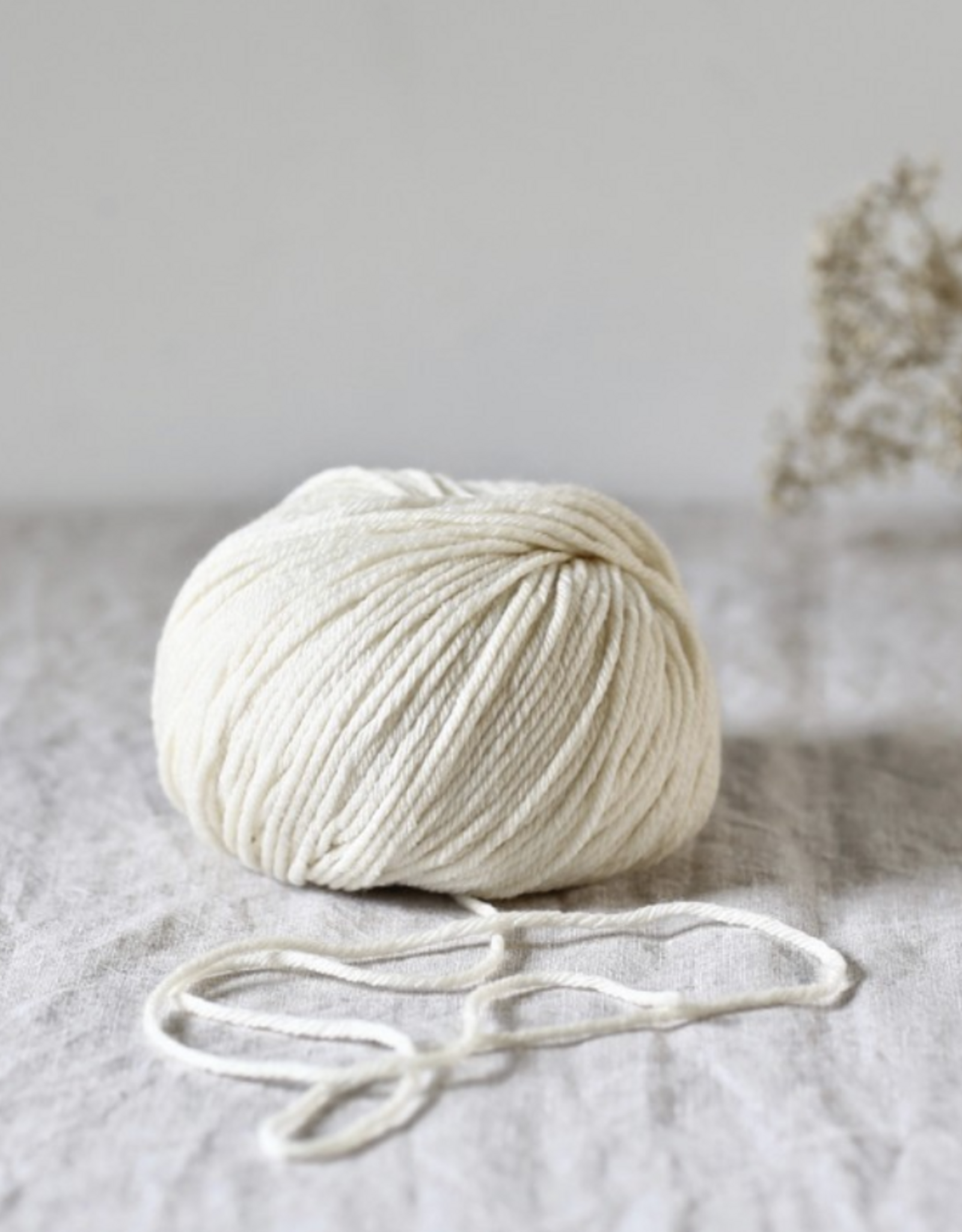 De Rerum Natura Penelope creme