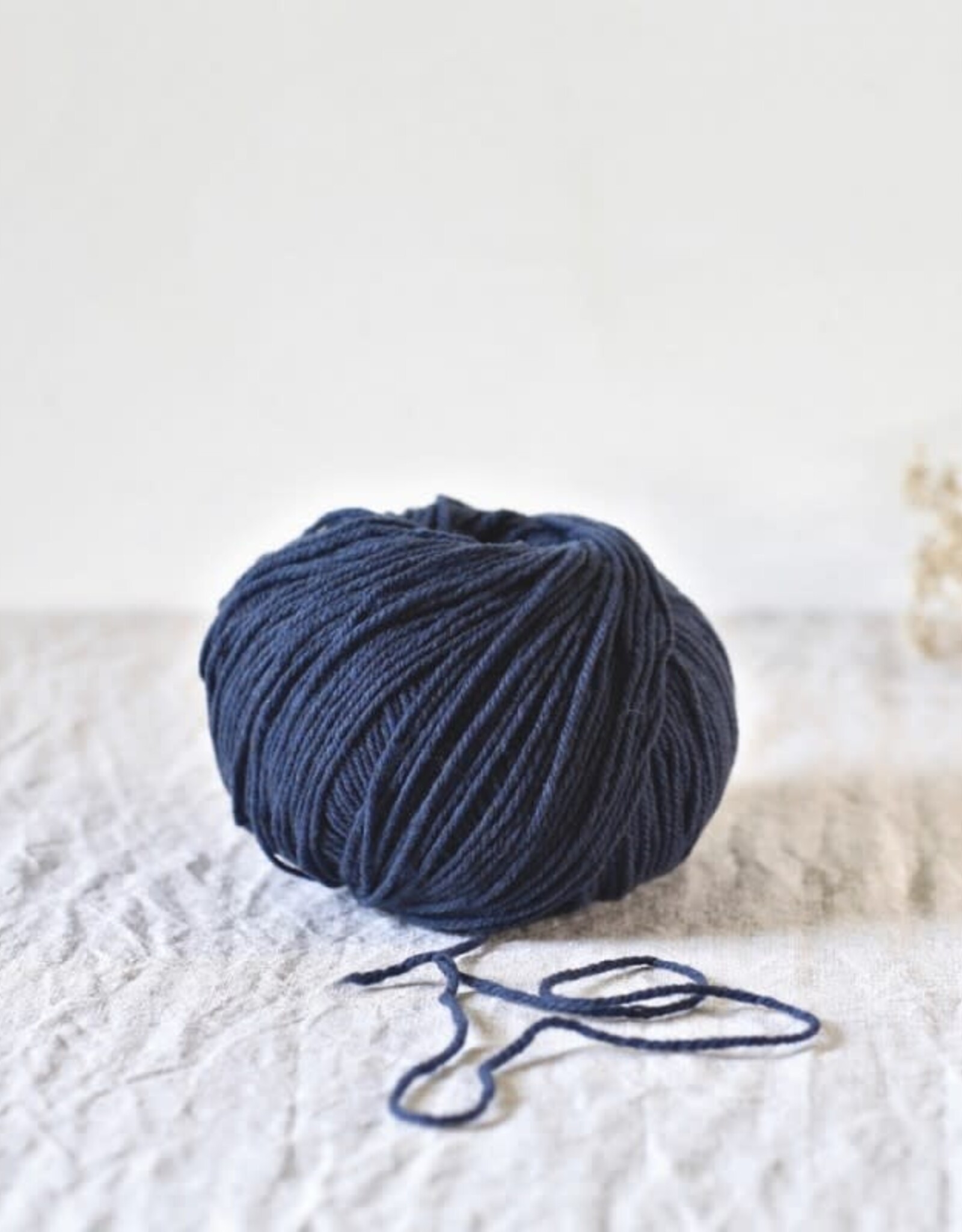 De Rerum Natura Gilliatt baleine bleue