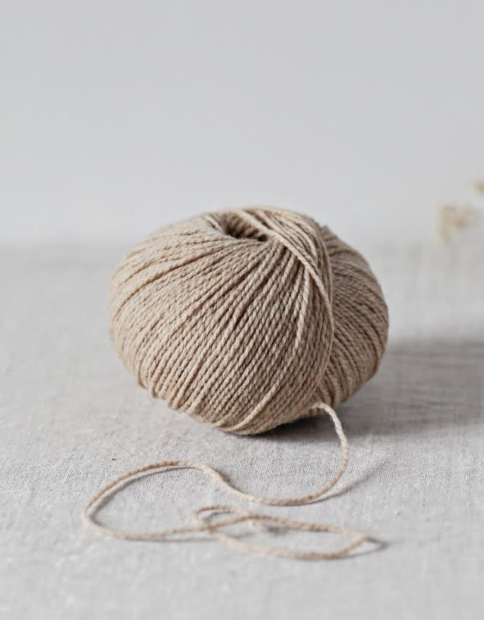 De Rerum Natura Ulysse biche