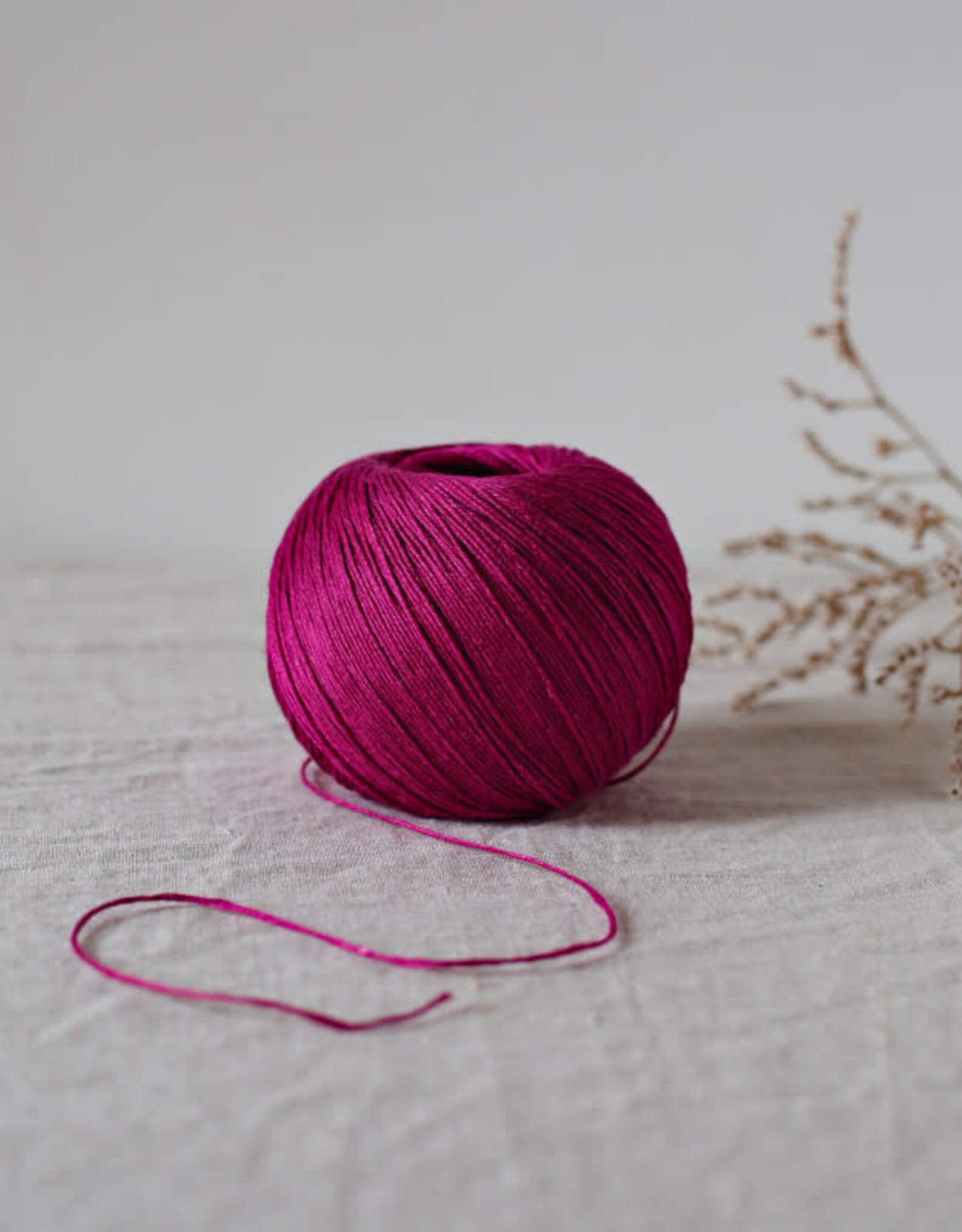 De Rerum Natura Antigone fruit du dragon