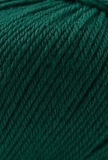 Cascade Cascade 220 Superwash 1950 Hunter Green
