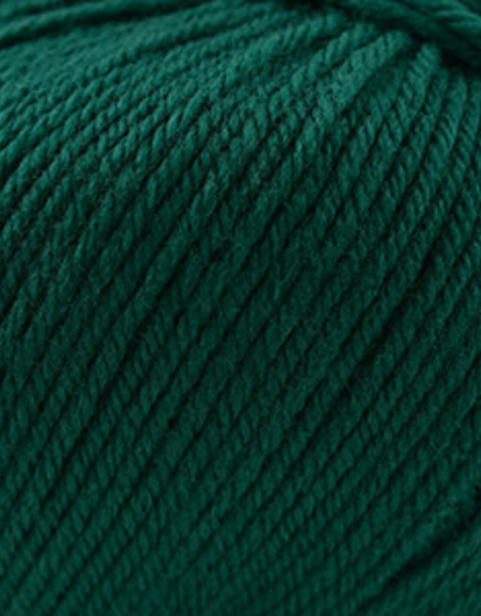 Cascade Cascade 220 Superwash 1950 Hunter Green