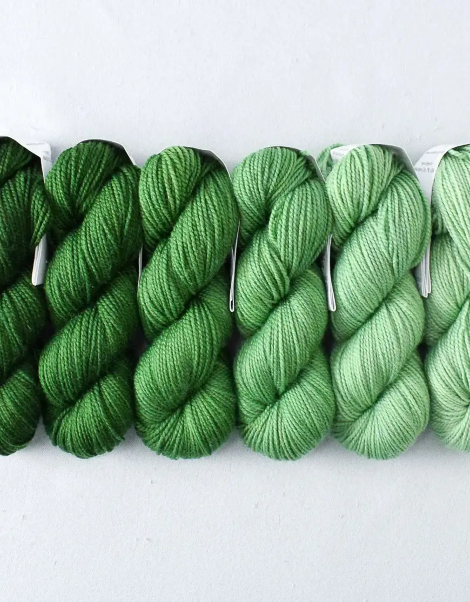 Miss Babs Gradient Set beanstalk
