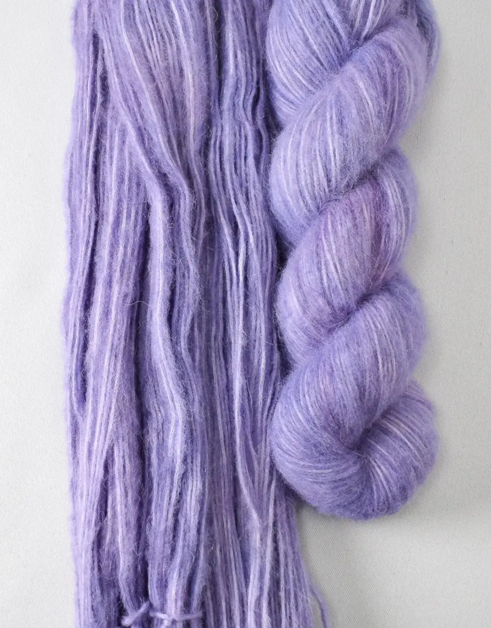 Miss Babs Billow orchid