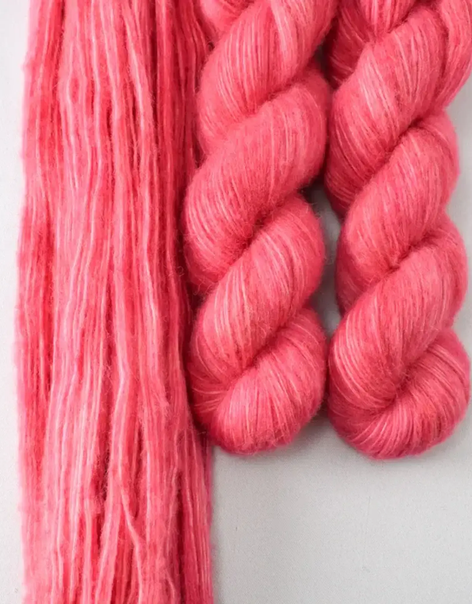 Miss Babs Billow lotus