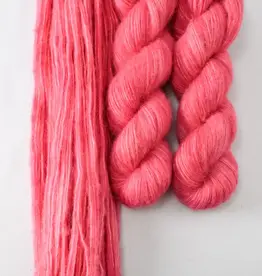 Miss Babs Billow lotus