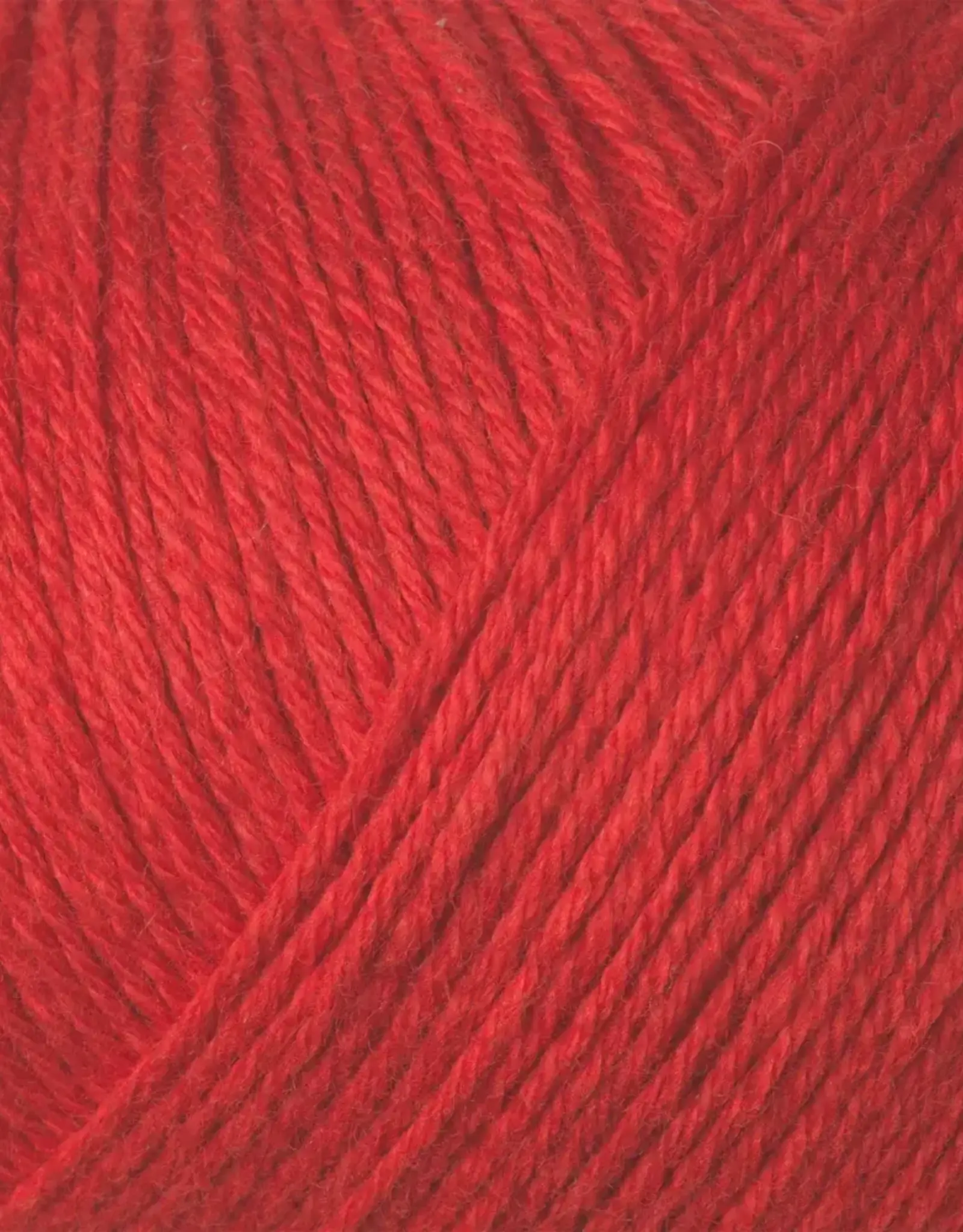 Knitting for Olive Cotton Merino red currant