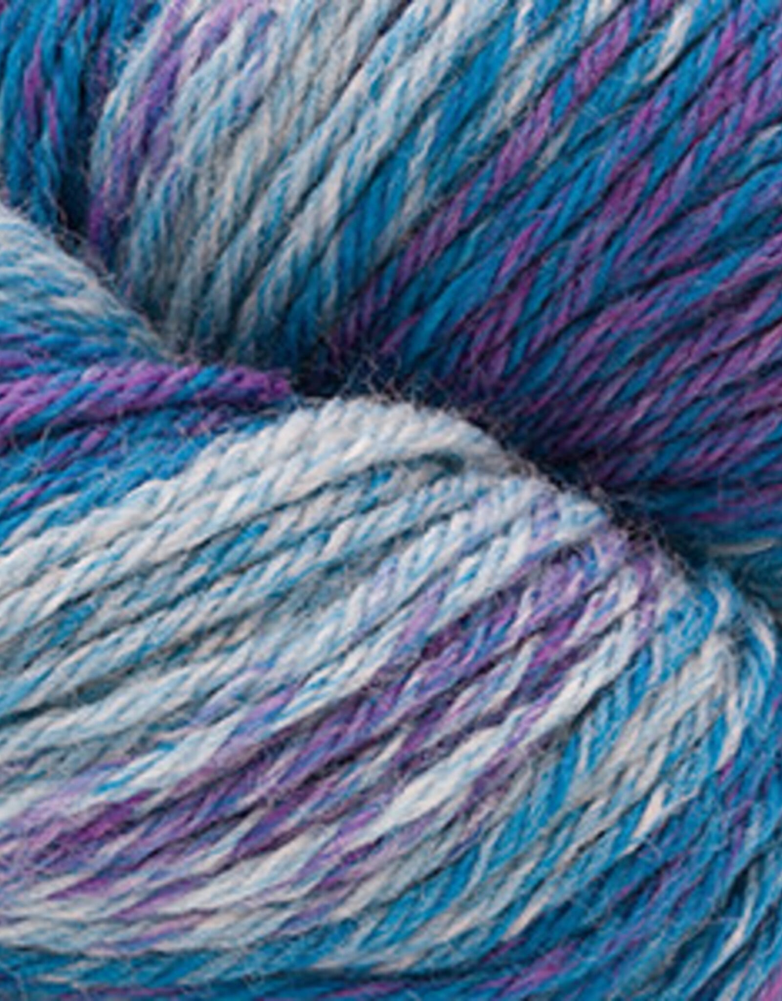 Cascade Cascade 220 Superwash Wave 127 blueberry