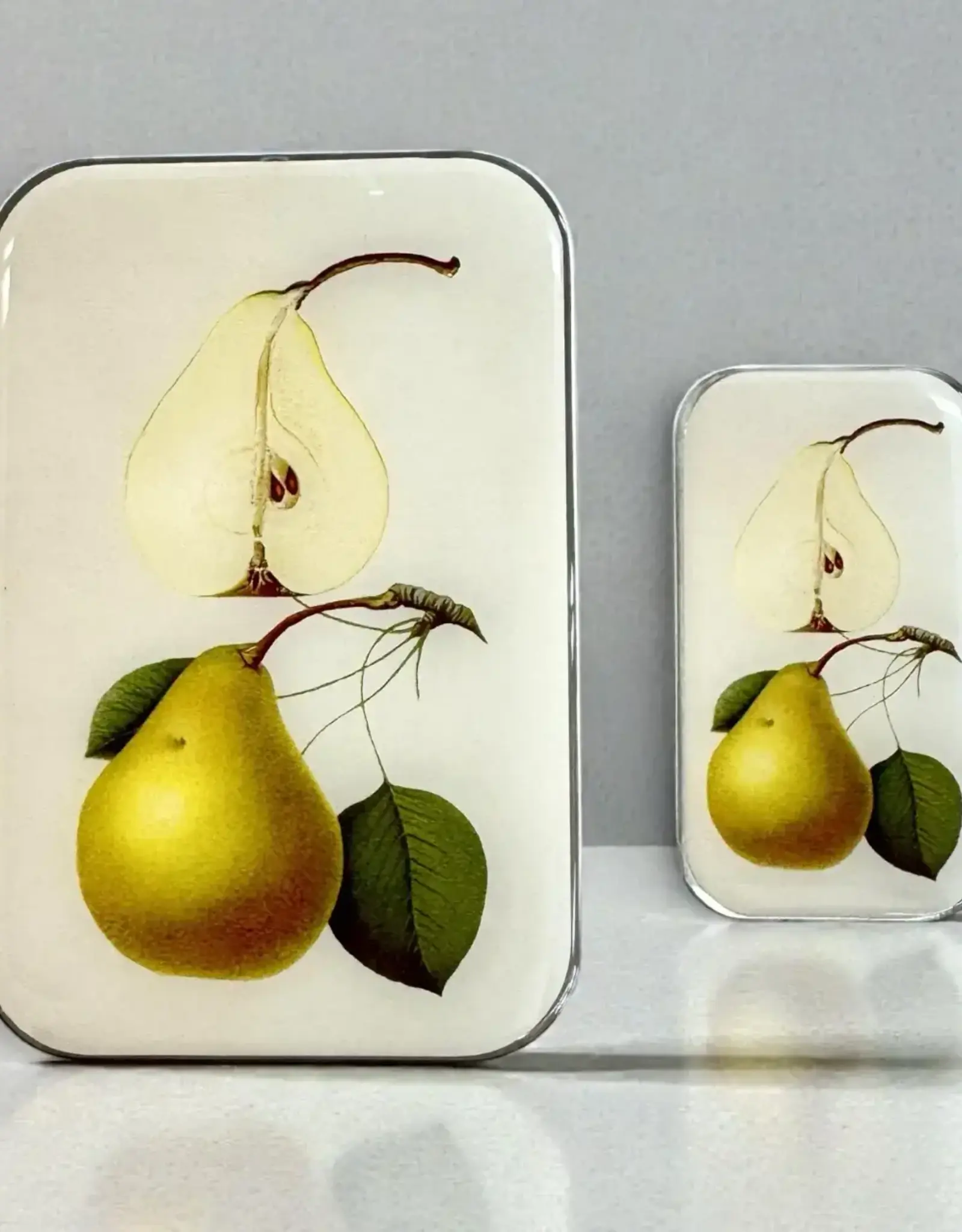 Firefly Notes Botanical Pear Notions Tin
