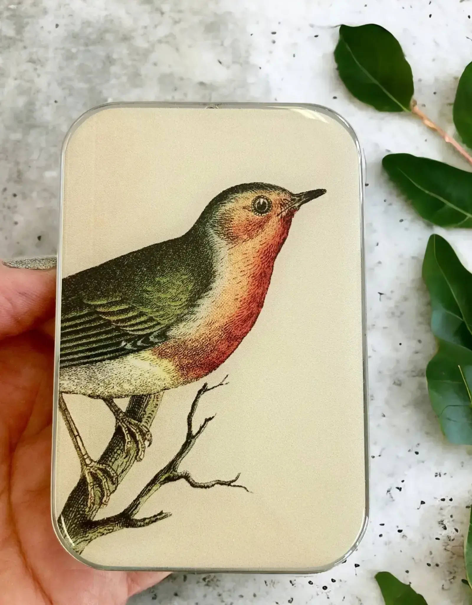 Firefly Notes Robin Notions Tin