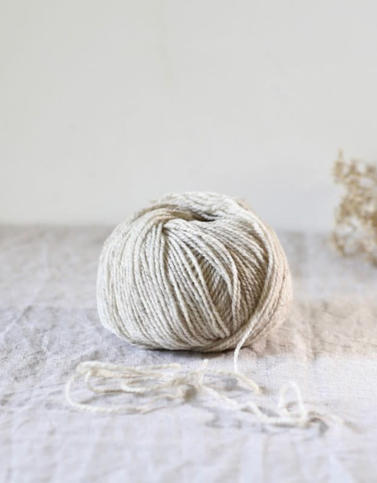 De Rerum Natura Ulysse poivre blanc