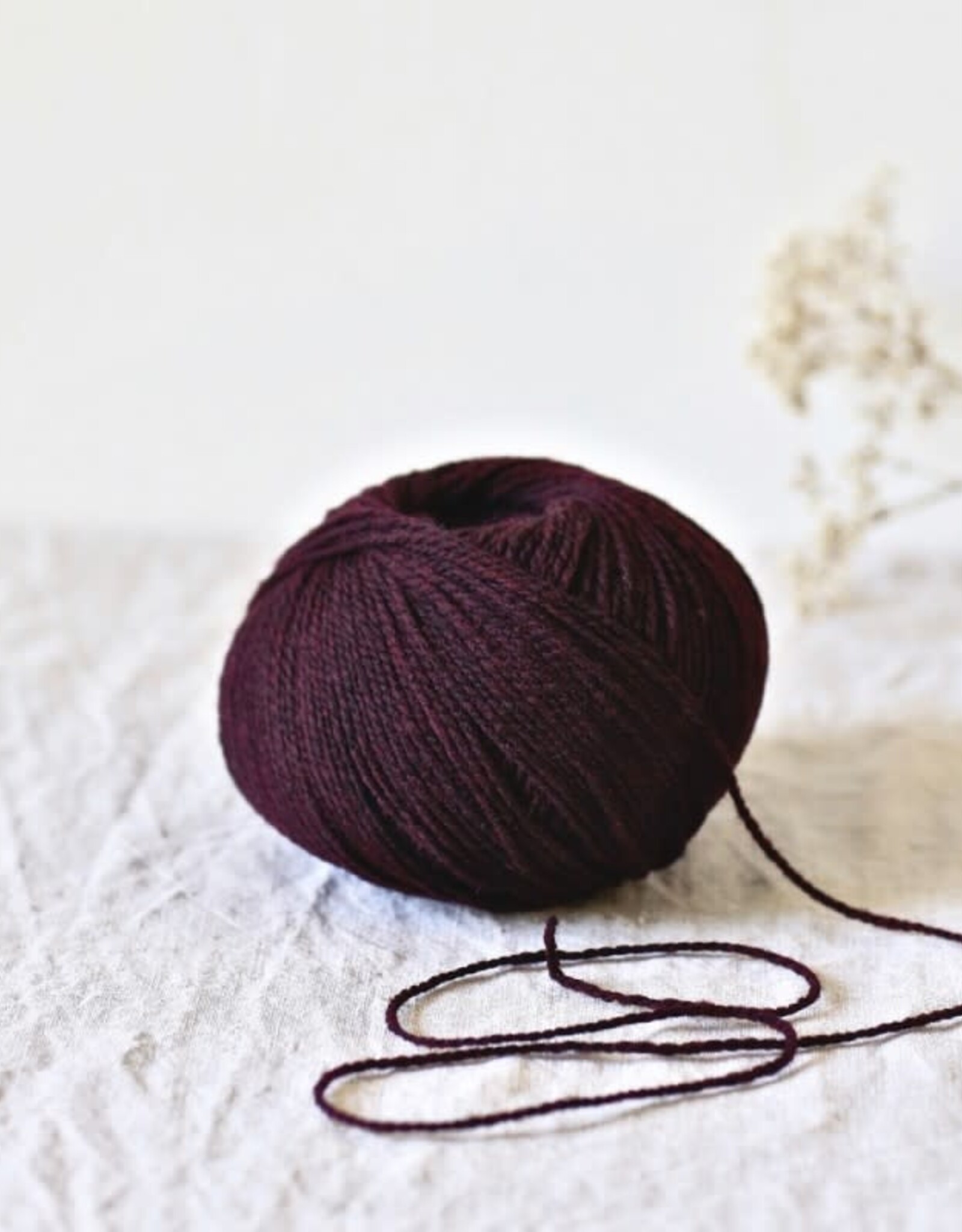 De Rerum Natura Ulysse merlot