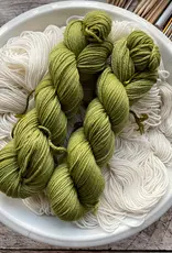 On The Round Cottage DK euphorbia