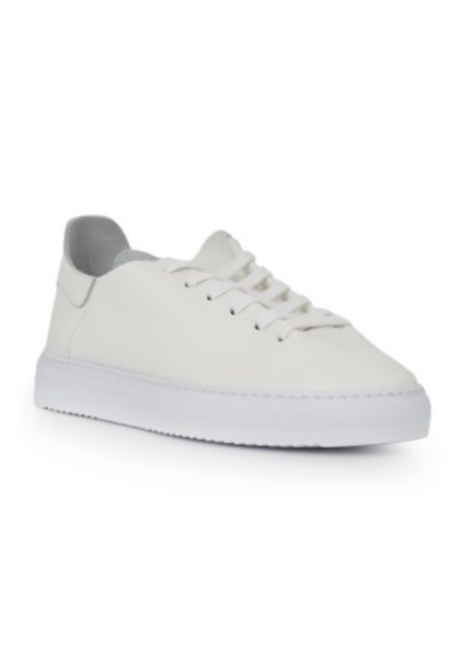 Sam Edelman Poppy Sneaker