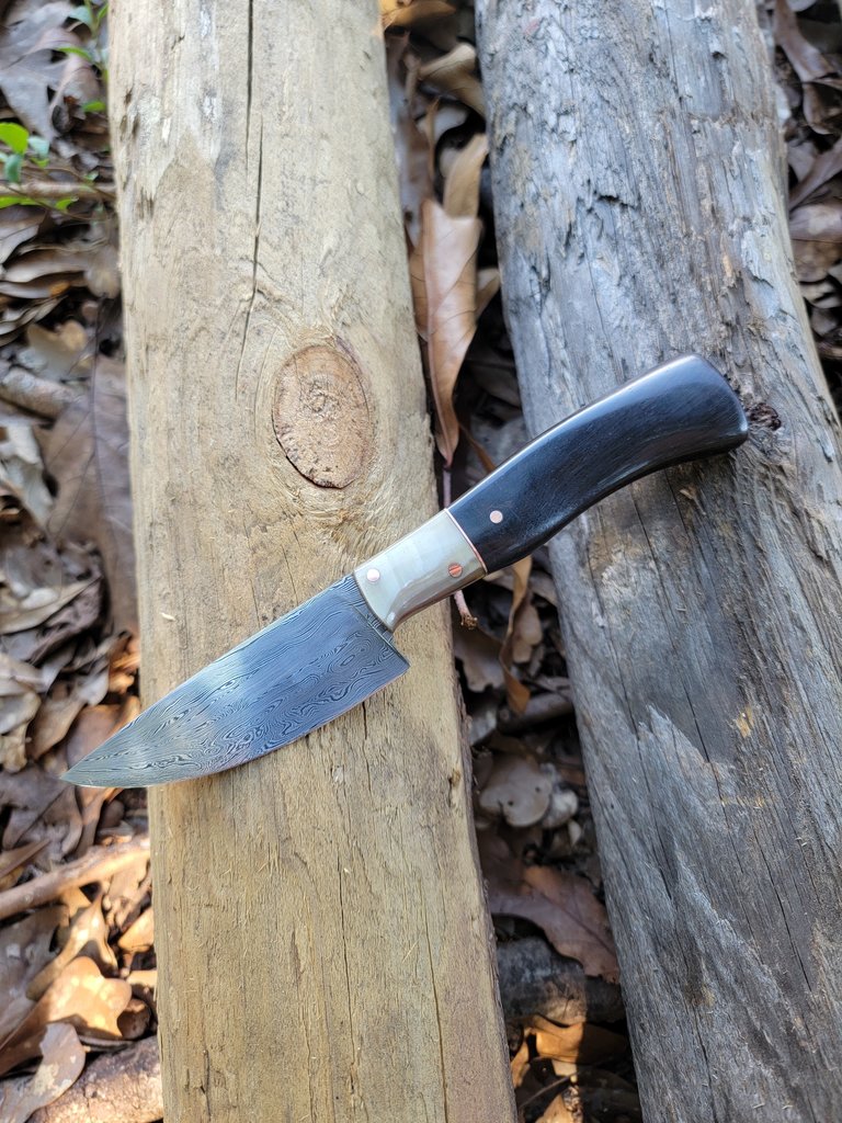 Rhymer Knives Rhymer Knives - Damascus Skinner - African Blackwood & Buffalo Horn Handle