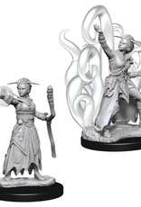 WizKids D&D NMU: Human Warlock Female W10