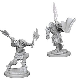 WizKids D&D NMU: Dragonborn Fighter Female W4