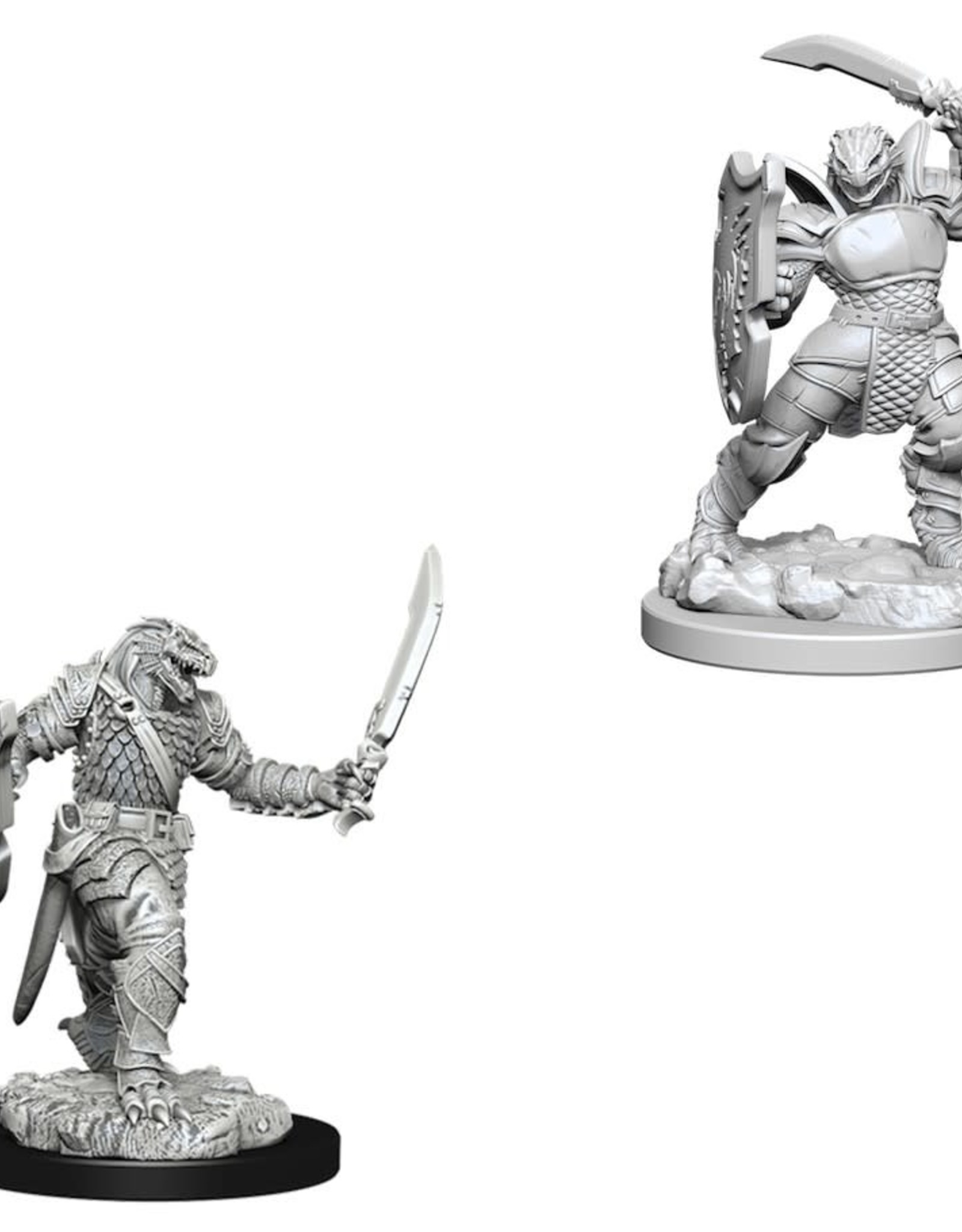 WizKids D&D NMU: Dragonborn Female Paladin W5