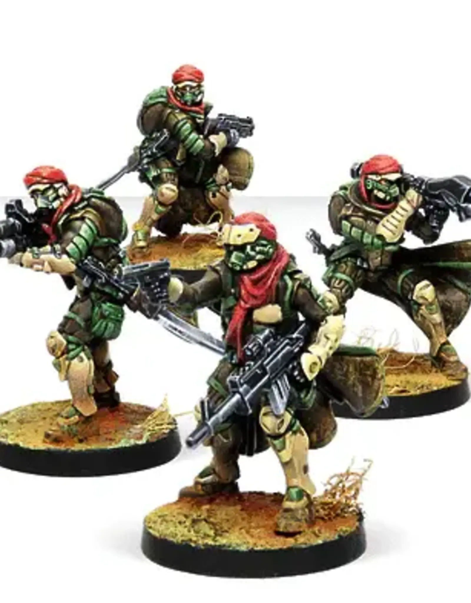 Corvus Belli Infinity: Haqqislam Khawarijs