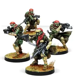 Corvus Belli Infinity: Haqqislam Khawarijs