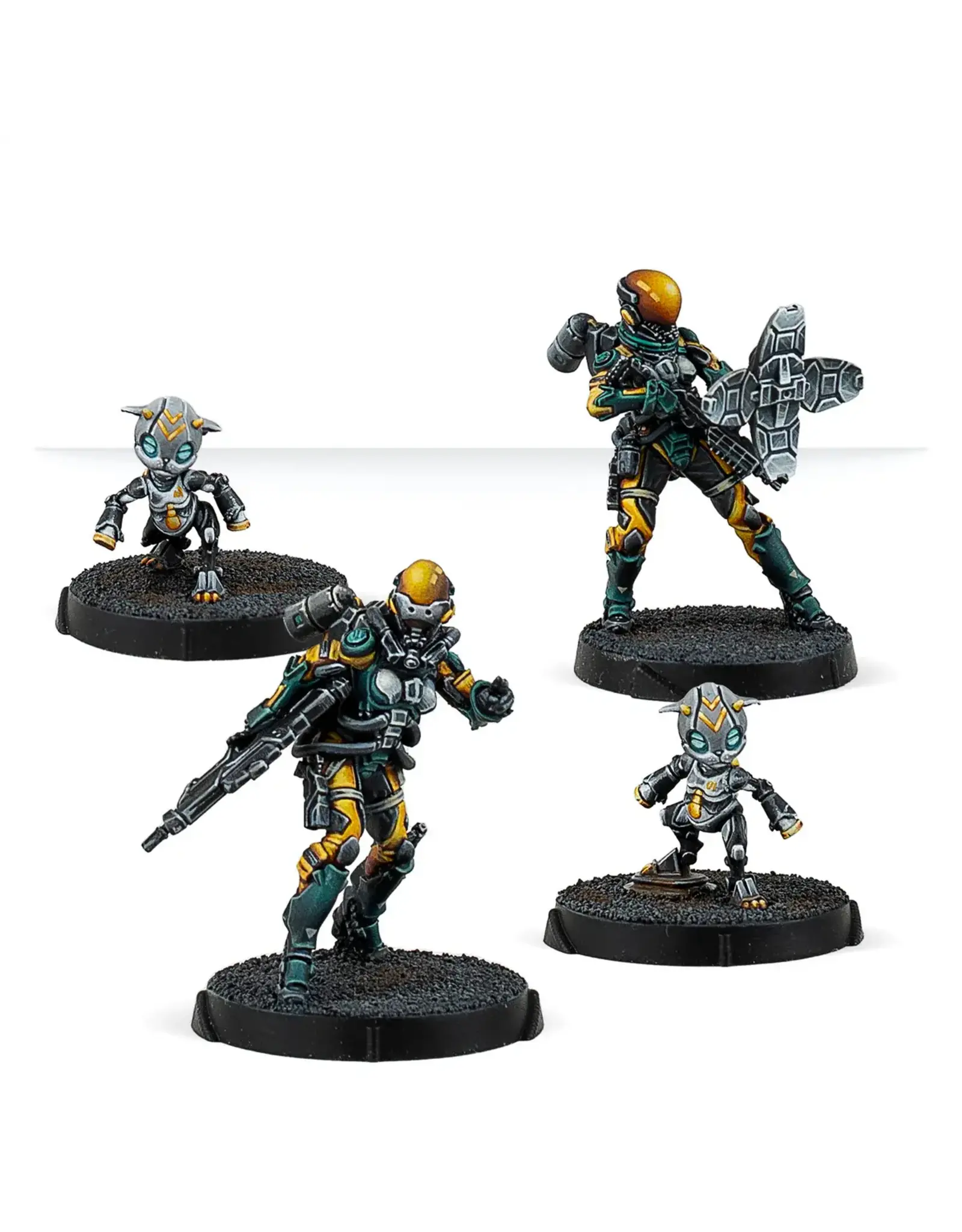 Corvus Belli Infinity: Tian Gou, Orbital Activity Squad