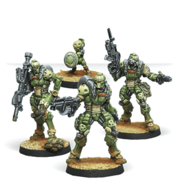 Corvus Belli Infinity: Haqqislam Janissaries [OOP]