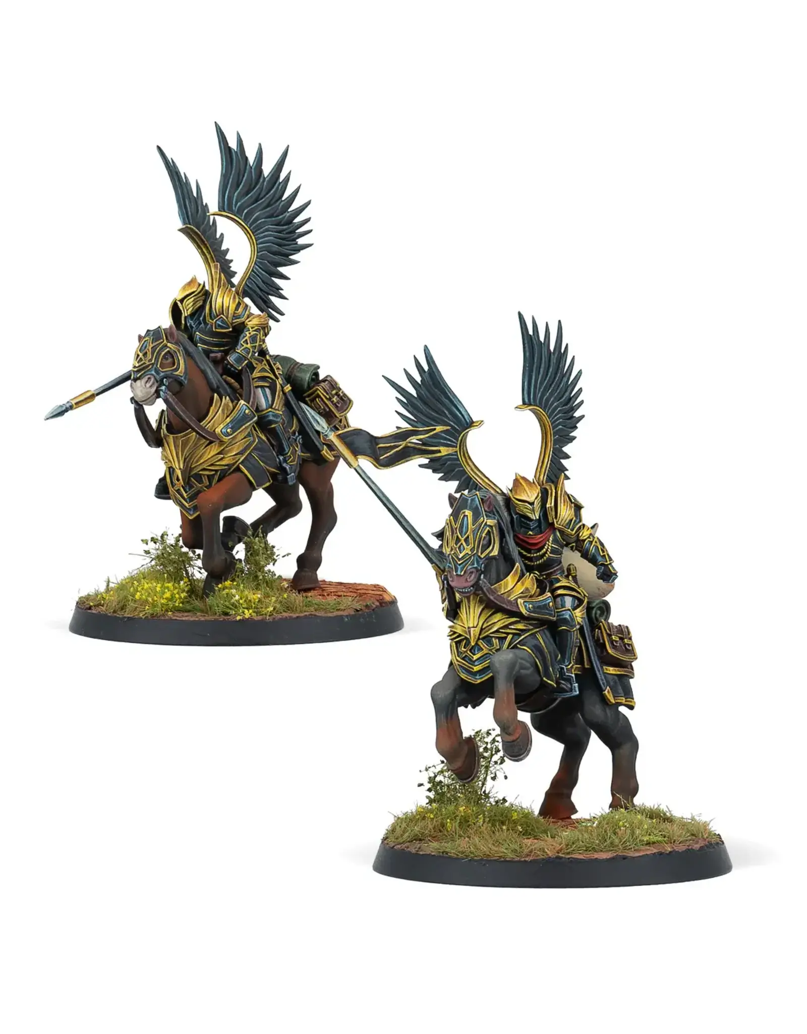 Corvus Belli Warcrow: Hegemony Black Angels