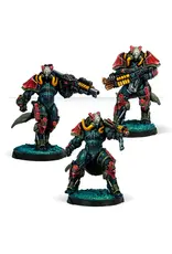Corvus Belli Infinity: Combined Army Rodoks, Armed Imposition Detachment