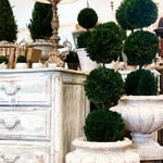 Topiaries & Flowers