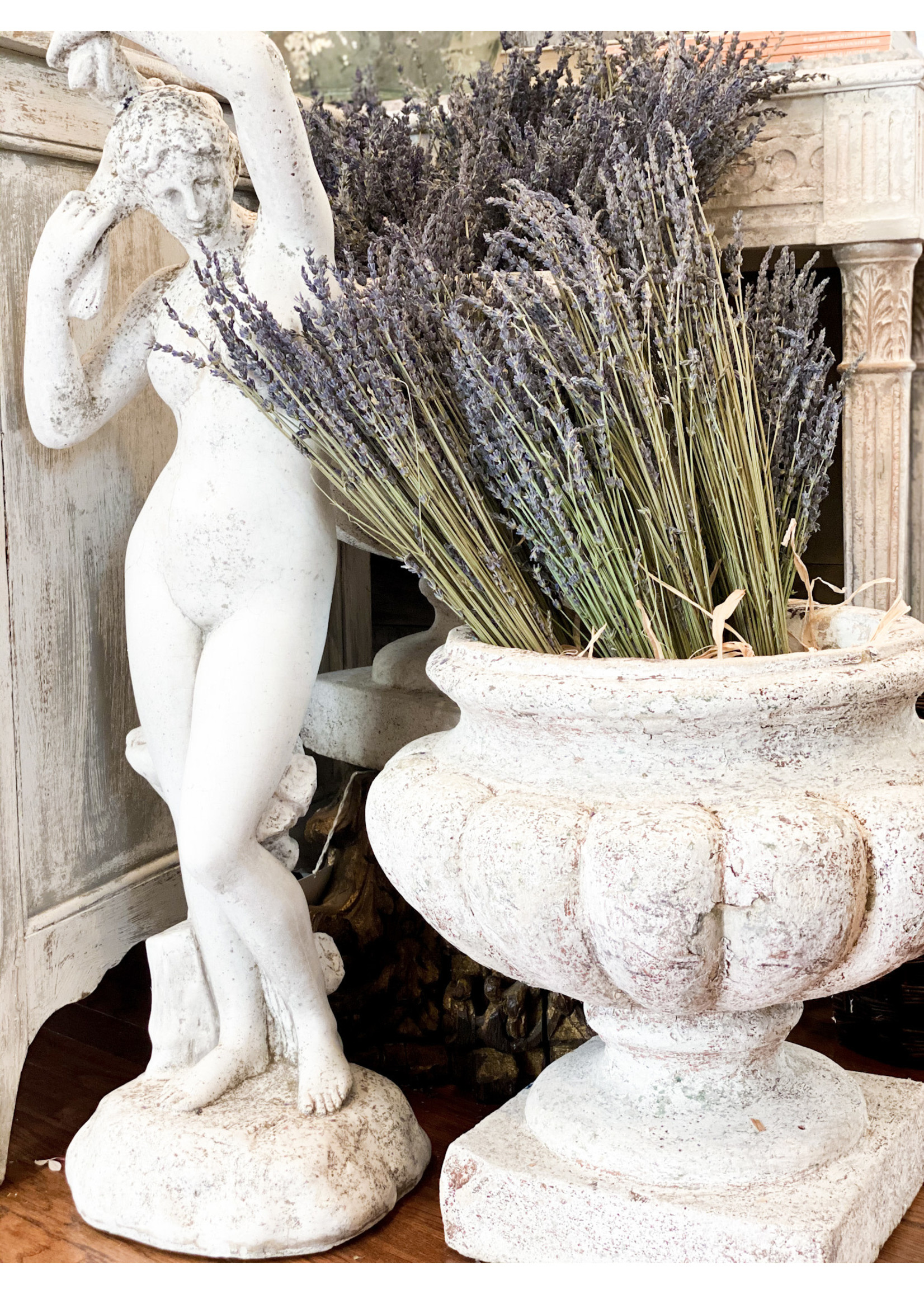 Antique French Concrete Urns