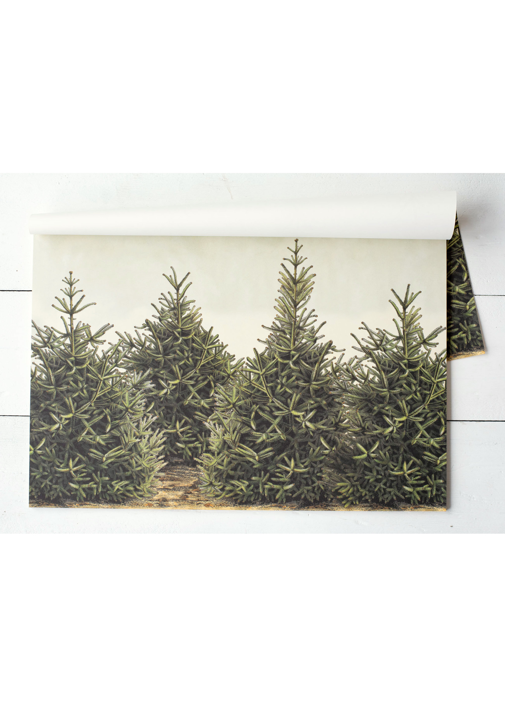 Hester & Cook Paper Placemats - Fir Trees (24 sheets)
